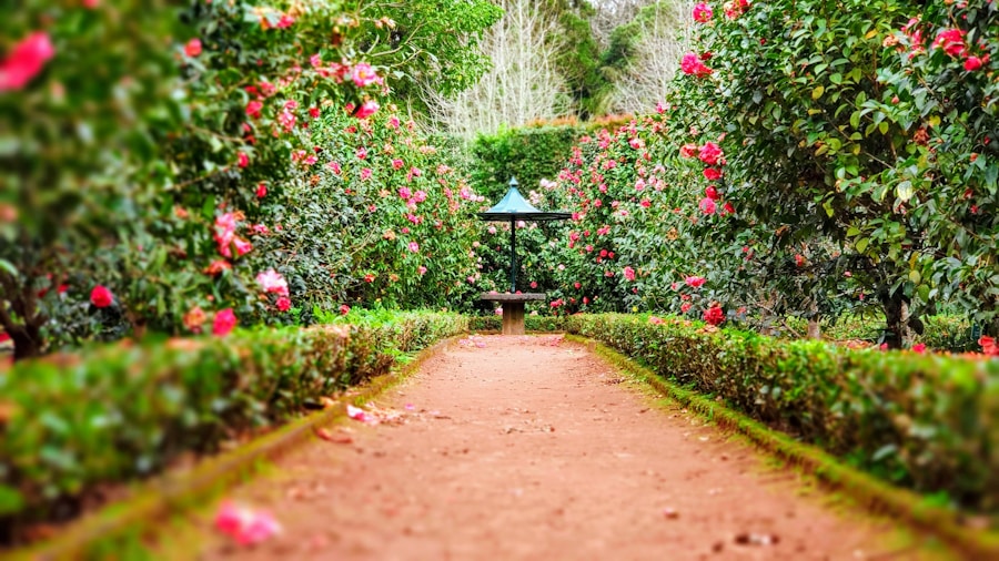 Garten der stillen Mitte